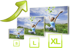 多彩なダウンロードフォーマット！