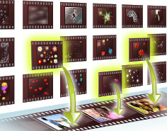 100種類以上の中から効果をお選び頂けます！